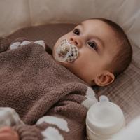 Set van 2 symmetrische fopspenen - SUAVINEX - Night&Day Wild&Free - SX Pro - 6 tot 18 maanden - Roze - thumbnail