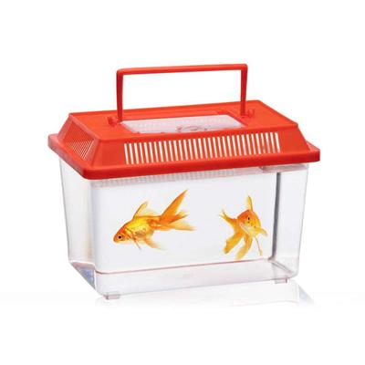 Insectendoos Lifetime