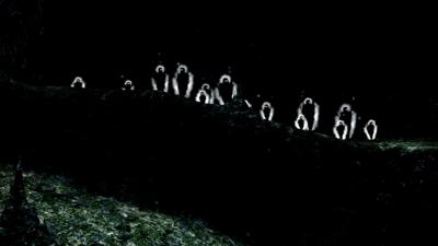 Dark Souls (Limited Edition)