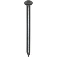 ST.NAGEL BL.1,0 KG 50X2,5 BKV - thumbnail
