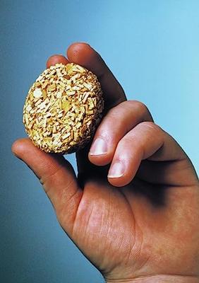 Bradley Mesquite Wood Briketten rookhout