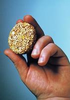 Bradley Mesquite Wood Briketten rookhout - thumbnail