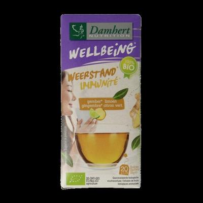 Damhert Tea time gember limoenthee bio 20 Zakjes