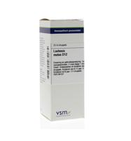 Vsm Lachesis Mutus D12 (20ml) - thumbnail