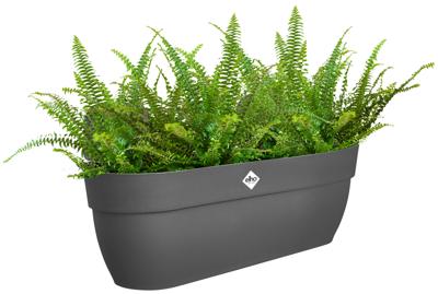 elho plantenbak vibia campana easy hanger XL d58 h27cm Antraciet