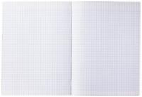 Clairefontaine schrift Mimesys voor ft A4+, 48 bladzijden, kaft in PP, seyès, geassorteerde kleuren - thumbnail