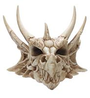 Draak Schedel Decoratie - thumbnail
