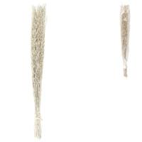 Bundel gedroogd saras gras wit 110 cm | 24 stuks - thumbnail