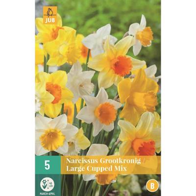 Narcis grootkronig mix 5 bollen Narcis grootkronig mix 5 bollen