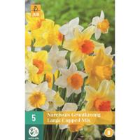 Narcis grootkronig mix 5 bollen - thumbnail