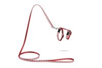 Beeztees Kittentuig Hartjes Rood 120cm x 10mm - thumbnail