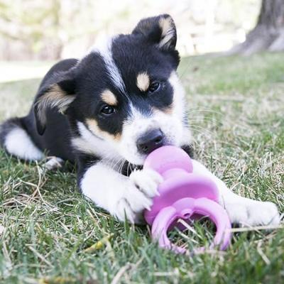 KONG Puppy Binkie Hondenspeelgoed, Klein, Verschillende kleuren ROZE