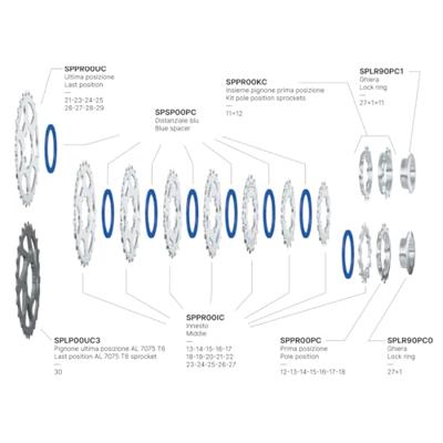 Miche cassette 10v 12-25 campa.