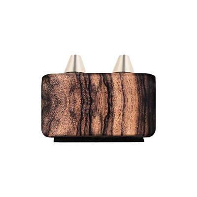LR Baggs Align Series Chorus