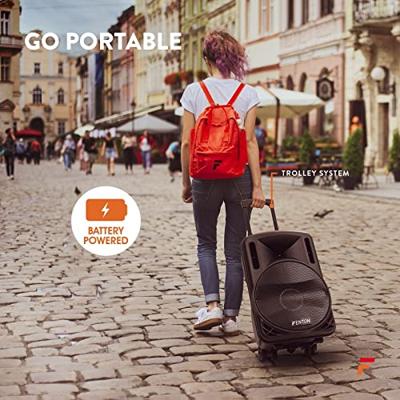 Fenton FT12LED actieve 700W mobiele 12 inch speaker met LED-show Fenton FT12LED actieve 700W mobiele 12 inch speaker met LED-show