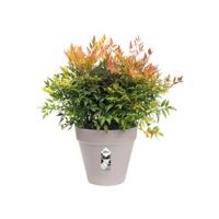Elho loft urban bloempot rond 30 cm warm grey - thumbnail