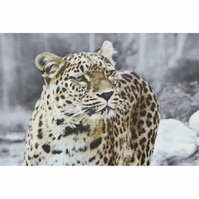 Schilderij DKD Home Decor Luipaard Koloniaal (50 x 1,8 x 70 cm) (4 Stuks)