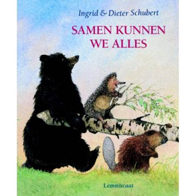 Samen kunnen we alles (Hardback)