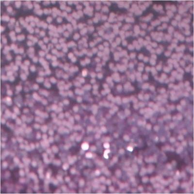 Creativ Company Glitterlijm, paars, 25 ml/ 1 fles