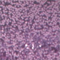 Creativ Company Glitterlijm, paars, 25 ml/ 1 fles - thumbnail