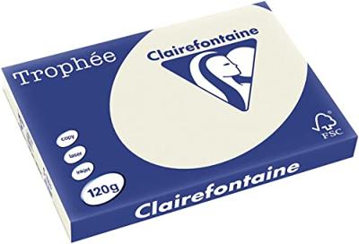 Clairefontaine Trophée Pastel, gekleurd papier, A3, 120 g, 250 vel, parelgrijs
