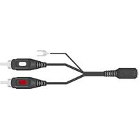 SpeaKa Professional SP-7869832 Cinch / DIN-aansluiting Audio Y-adapter [1x DIN-bus 5-polig - 2x Cinch-stekker] Zwart - thumbnail