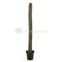 Kunstplant Cactus straight L - thumbnail
