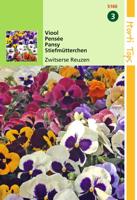 Zaden Viola Viool Zwitserse Reuzen Hortitops - Hortitops - thumbnail