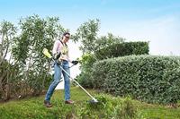 RYOBI bosmaaier 18V - 1 batterij 4Ah - thumbnail