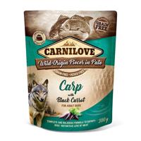 CARNILOVE DOG POUCH KARPER / ZWARTE WORTEL 12X300 GR - thumbnail