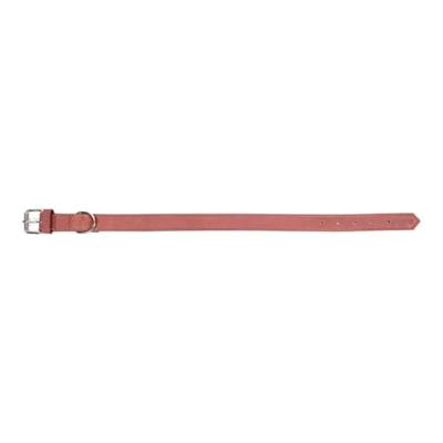Hondenhalsband Gloria Oasis Roze (1,2 x 35 cm)