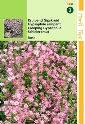 Zaden Gypsophila kruipend Gipskruid rose Hortitops - Hortitops