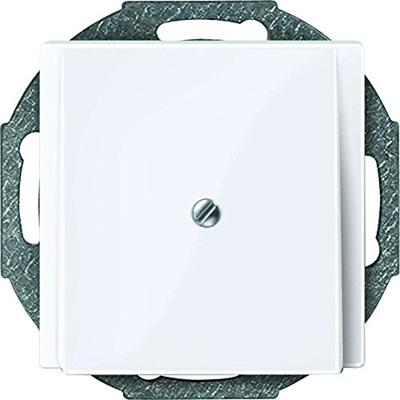 Merten 296325 Afdekking System M Wit 1 stuk(s)