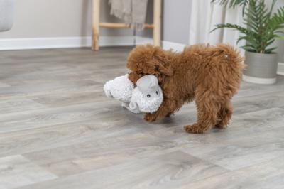 Knuffel voor honden Trixie Polyester Pluche Aap 40 cm - thumbnail