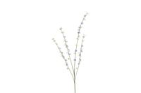 Decostar Cytisus 108 cm paars - thumbnail