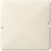 ELSO blinde afdekking 503010 1f. 80x80 RENOVATIE parelwit Meerdere kleuren 1 stuk(s) - thumbnail