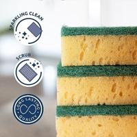 Sorbo schuursponsen 6 stuks - thumbnail