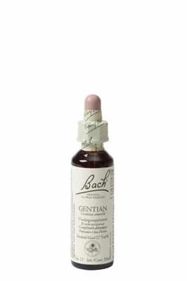 Bach Flower Remedies Gentiaan 12