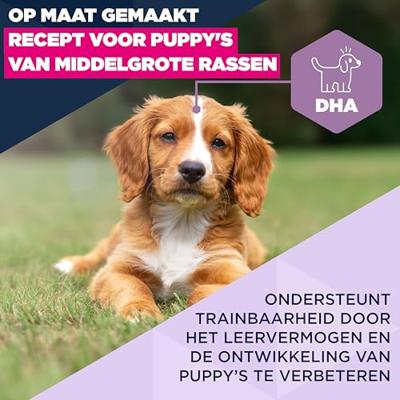Eukanuba Puppyvoer met verse kip voor middelgrote rassen, premium droogvoer voor junior honden, 3 kg