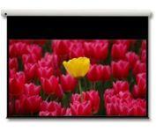 Optoma DE-9106EGA gemotoriseerd 106 inch 16:9 projectiescherm - thumbnail