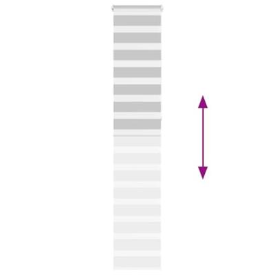 VidaXL Zebra rolgordijn 40x230 cm stofbreedte 35,9 cm lichtgrijs