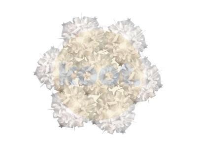 Slamp - Veli 7 Hanglamp