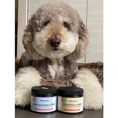 Dogsuppy Heup & Gewrichten Chewies