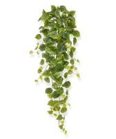 Philodendron kunst hangplant 80cm - groen - thumbnail
