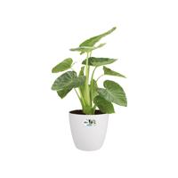 Elho brussels round wheels 35 white - thumbnail