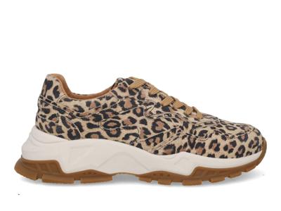 DWRS label Chester Leopard 8808 cognac multi bruin maat 41