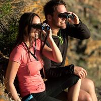 Steiner BluHorizon 8x22 compacte Verrekijker - thumbnail