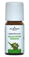 Jacob Hooy Essentiële Olie Eucalyptus Radiata - thumbnail