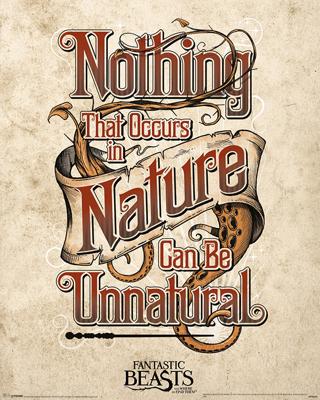Poster Fantastic Beasts - Unnatural 40x50cm Poster Fantastic Beasts - Unnatural 40x50cm