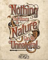 Poster Fantastic Beasts - Unnatural 40x50cm - thumbnail